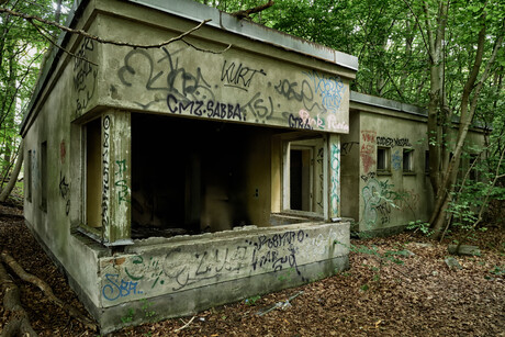 Im Schlosspark Dwasieden. 