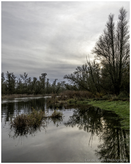 Hoog water