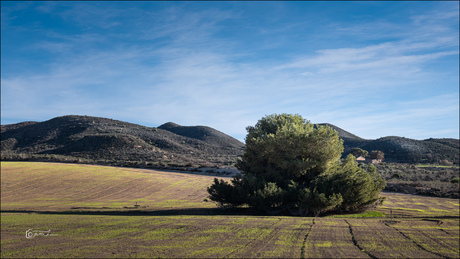 El Saladillo