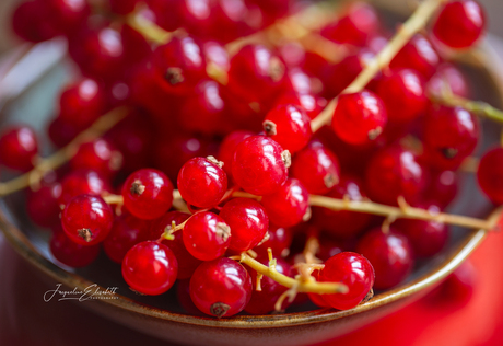 Red speaks in tones of taste ...