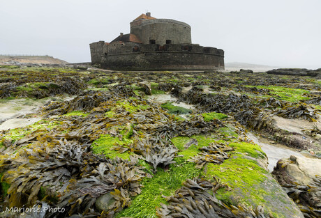 Fort Vauban