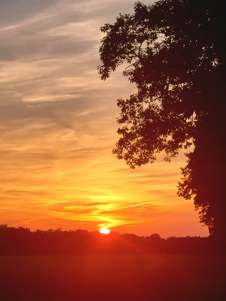 Zomer foto