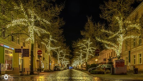 Weihnacht in der Brauerstraße.