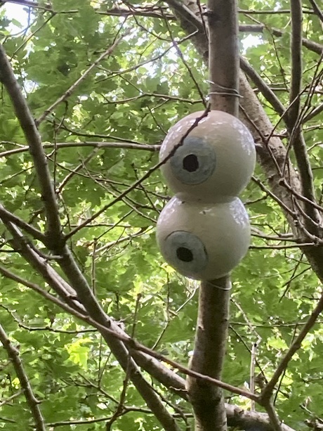 Big brother…
