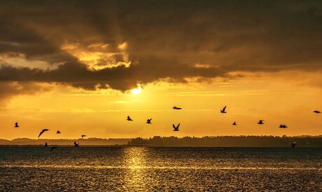 Oranje zonsopkomst aan het water