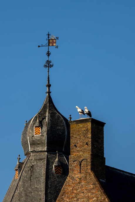 Hoog bezoek op Kasteel Rechteren.