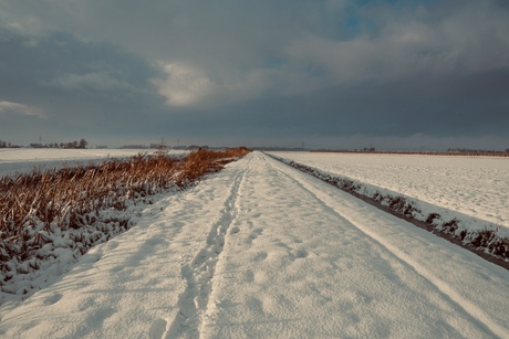 Sneeuwlandschap 