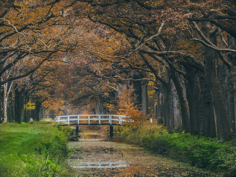 herfst gevoel