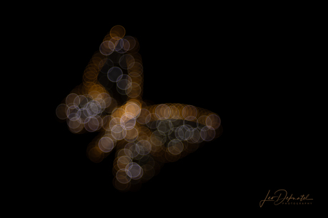 βWaar Cirkels de Vorm van een Vlinder Herinnerenβ