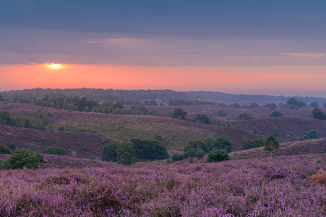 Bewolkte zonsopkomst boven de Zijpenberg