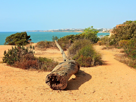 Algarve Portugal 