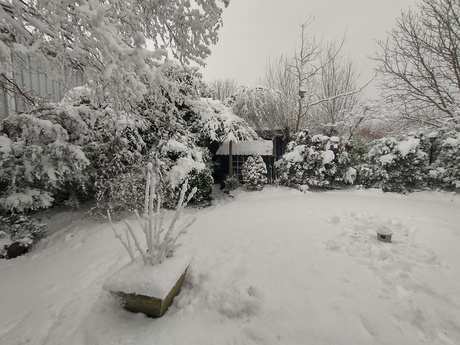 Snow, Snow, Snow.....