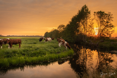 Poldertafereel bij ondergaande zon