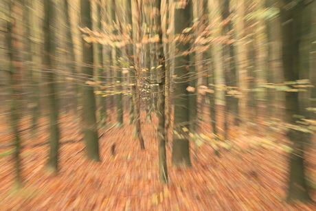Zoomburst