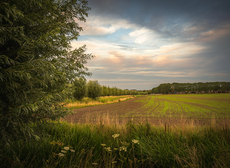 Oost West…