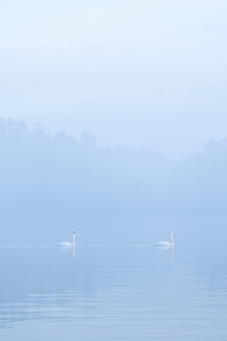 Biesbosch sunrise