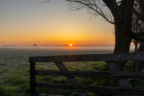 Entree naar een mistige zonsopkomst