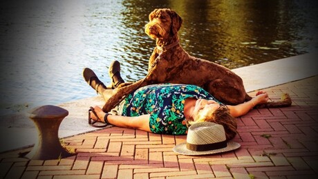 Vrouw met Hond