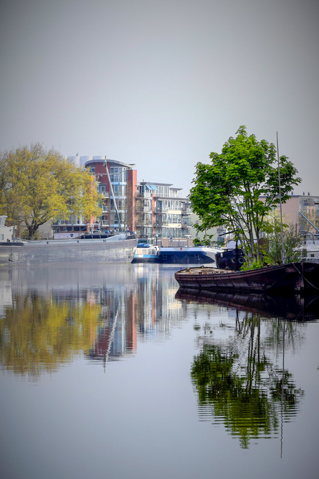 Water, boompje, bootje, flatje.