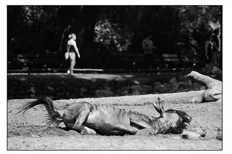 gelukkig...........................