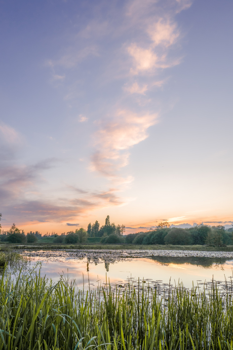 Zonsondergang aan de nete