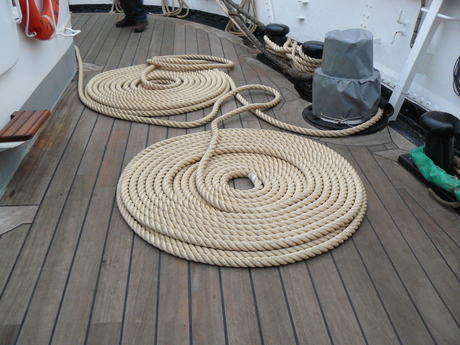SAIL 2010