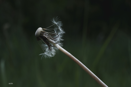 The wind was blowing!