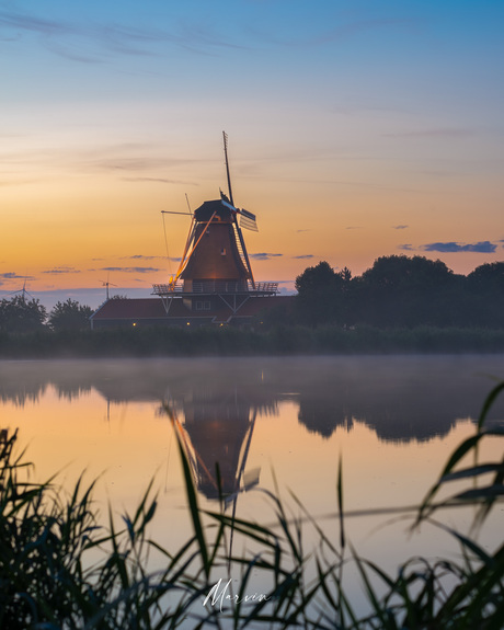 Molen de leeuw