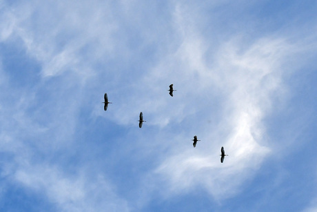 Weer, wind en beweging
