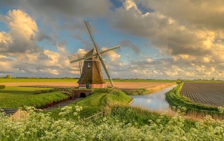 Molen Goliath Groningen 