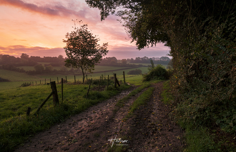 Zonsopkomst in de Limburgse heuvels...