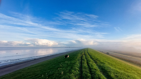 De zeedijk.