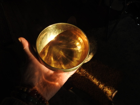 Zonlicht boven de leerstoel 'Lucanus Cervus, Nijmegen 2026