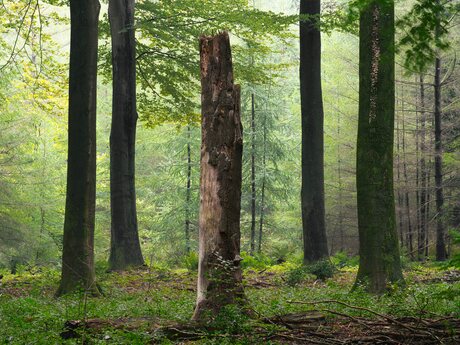 In het licht van vergankelijkheid