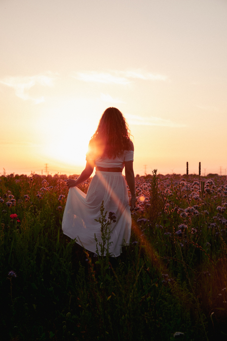 Summer Sunset 