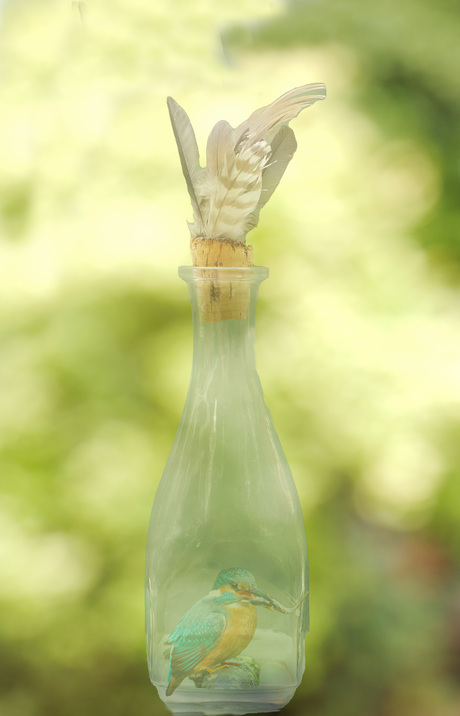 Kingfisher in a bottle