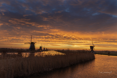 Kleurijk Kinderdijk