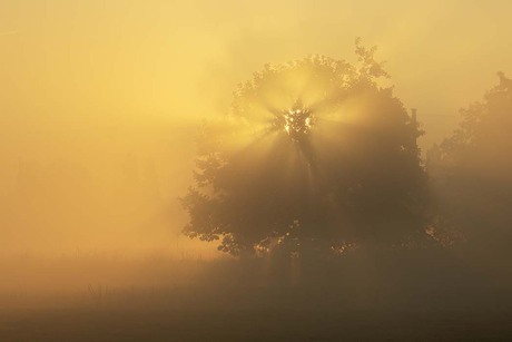 Gouden zonsopkomst