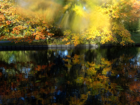 Herfstkleuren.