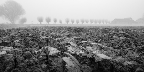 Boerenlandschap in de mist
