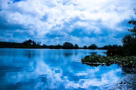 Blue Reflections