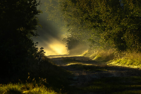 zonsopkomst 