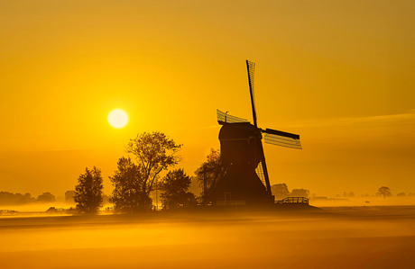 zonsopkomst in de Alblasserwaard