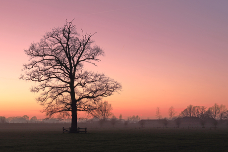 Een koude zonsondergang