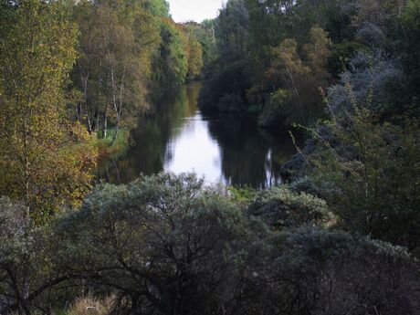 Herfst 