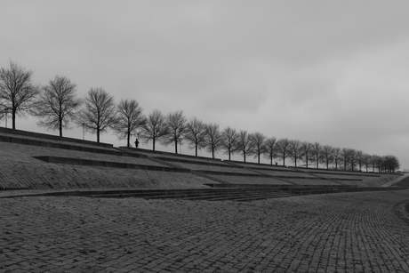 Eenzaam of prettig alleen?