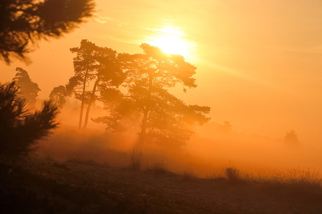 De Brabantse Sahara