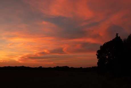 Avondlucht