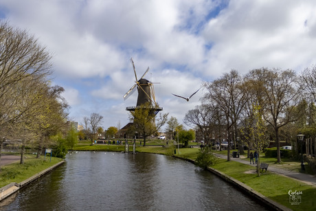 Leiden