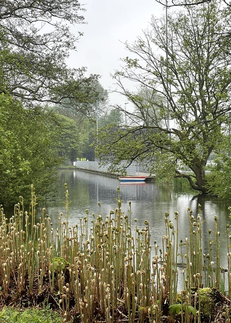 Een stukje natuur in Amstelveen 